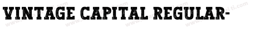 Vintage Capital Regular字体转换